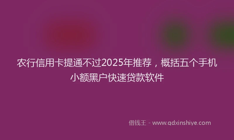 农行信用卡提通不过2025年推荐，概括五个手机小额黑户快速贷款软件