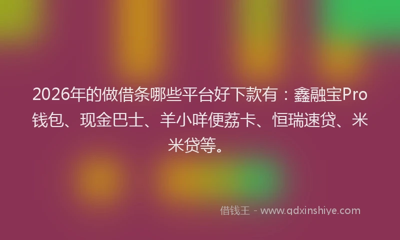 2026年的做借条哪些平台好下款有：鑫融宝Pro钱包、现金巴士、羊小咩便荔卡、恒瑞速贷、米米贷等。