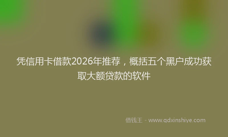 凭信用卡借款2026年推荐，概括五个黑户成功获取大额贷款的软件