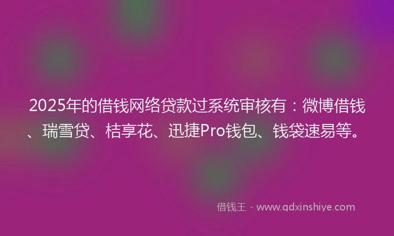 2025年的借钱网络贷款过系统审核有：微博借钱、瑞雪贷、桔享花、迅捷Pro钱包、钱袋速易等。