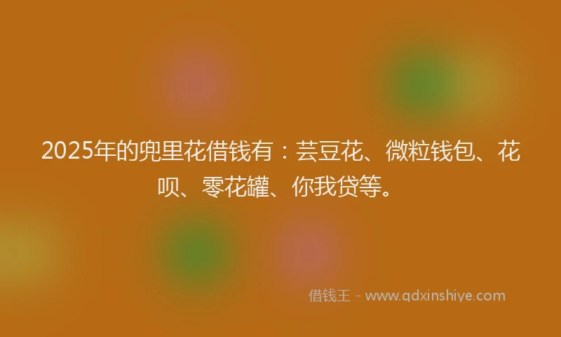 2025年的兜里花借钱有：芸豆花、微粒钱包、花呗、零花罐、你我贷等。