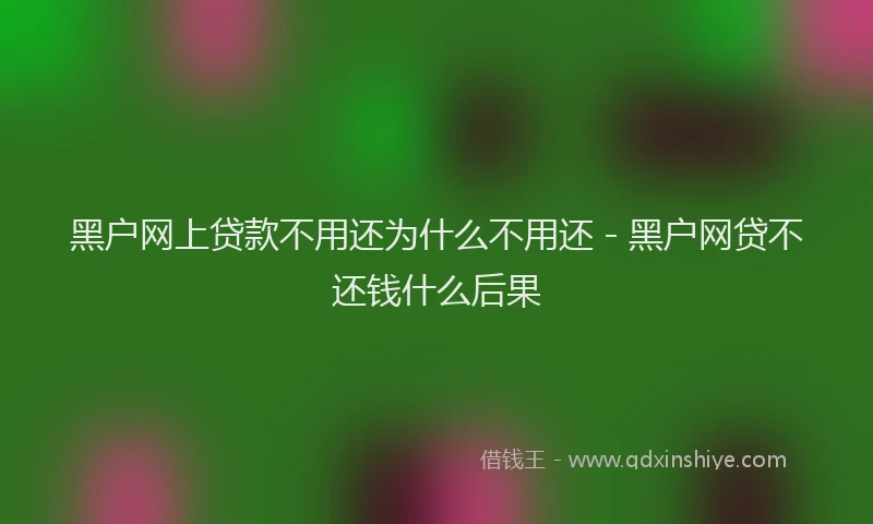 黑户网上贷款不用还为什么不用还 - 黑户网贷不还钱什么后果