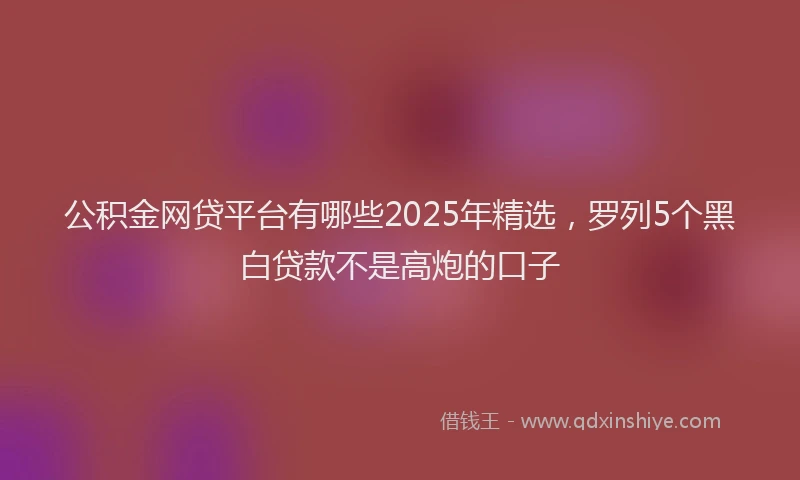 公积金网贷平台有哪些2025年精选，罗列5个黑白贷款不是高炮的口子