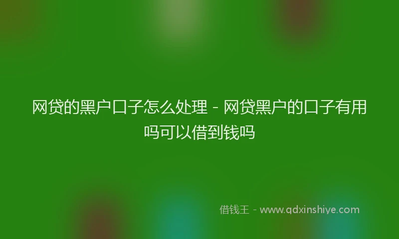 网贷的黑户口子怎么处理 - 网贷黑户的口子有用吗可以借到钱吗