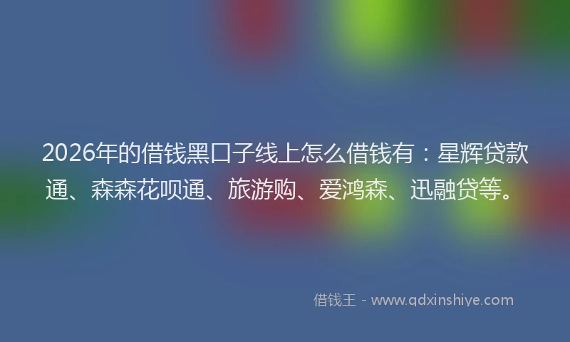 2026年的借钱黑口子线上怎么借钱有：星辉贷款通、森森花呗通、旅游购、爱鸿森、迅融贷等。