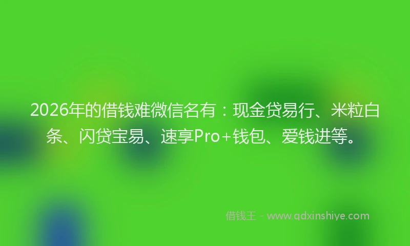 2026年的借钱难微信名有：现金贷易行、米粒白条、闪贷宝易、速享Pro+钱包、爱钱进等。