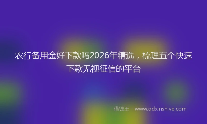 农行备用金好下款吗2026年精选,梳理五个快速下款无视征信的平台