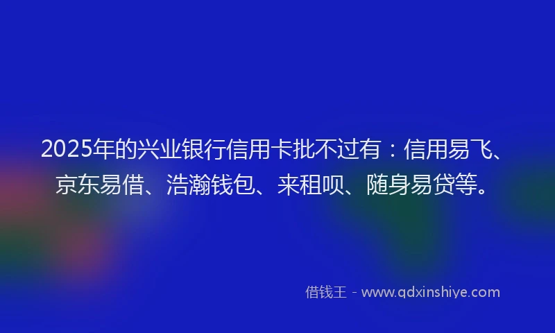 2025年的兴业银行信用卡批不过有：信用易飞、京东易借、浩瀚钱包、来租呗、随身易贷等。