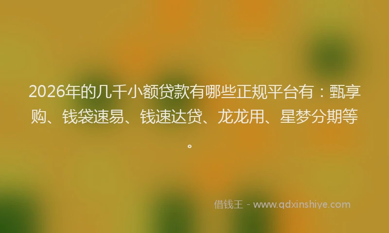 2026年的几千小额贷款有哪些正规平台有:甄享购、钱袋速易、钱速达贷、龙龙用、星梦分期等。