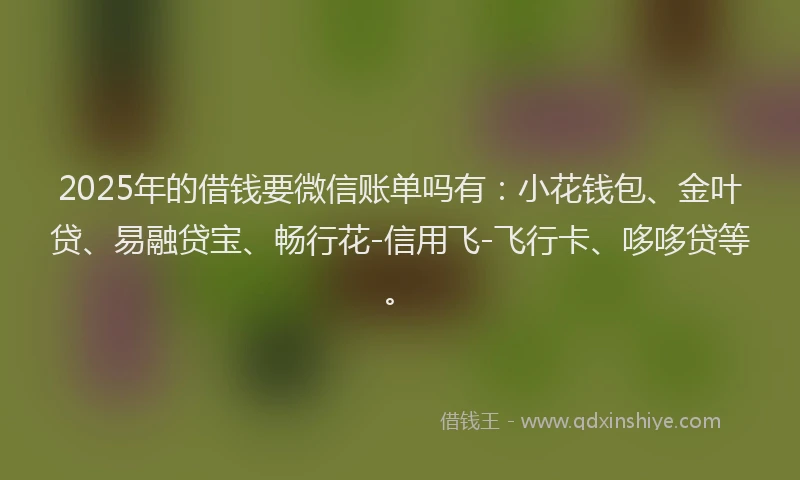 2025年的借钱要微信账单吗有：小花钱包、金叶贷、易融贷宝、畅行花-信用飞-飞行卡、哆哆贷等。