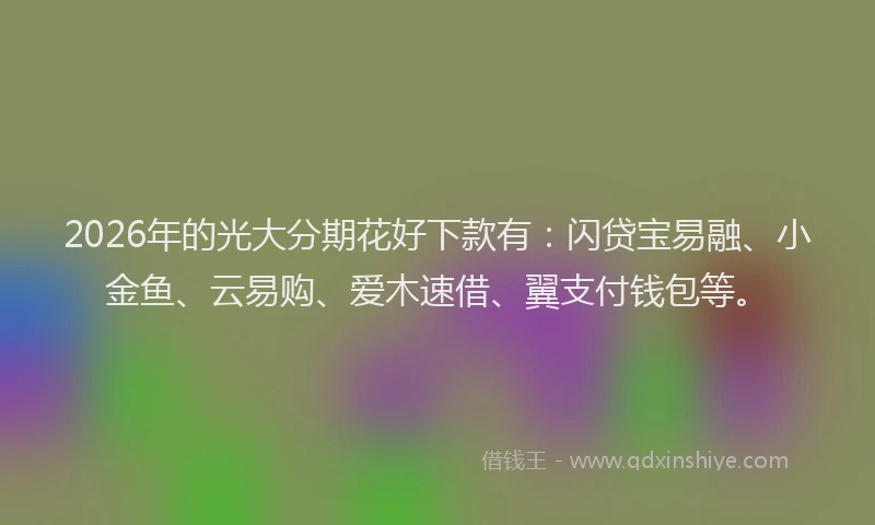2026年的光大分期花好下款有:闪贷宝易融、小金鱼、云易购、爱木速借、翼支付钱包等。