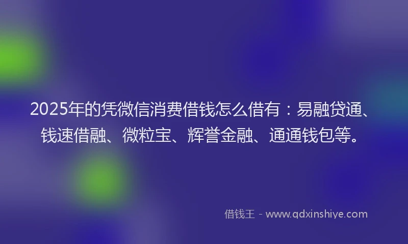 2025年的凭微信消费借钱怎么借有:易融贷通、钱速借融、微粒宝、辉誉金融、通通钱包等。