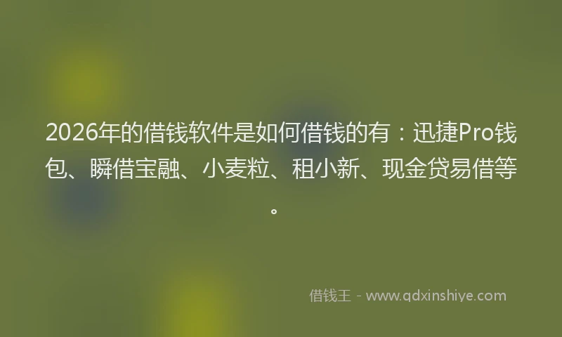 2026年的借钱软件是如何借钱的有：迅捷Pro钱包、瞬借宝融、小麦粒、租小新、现金贷易借等。