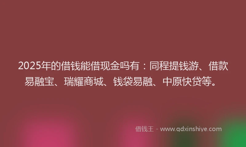 2025年的借钱能借现金吗有：同程提钱游、借款易融宝、瑞耀商城、钱袋易融、中原快贷等。