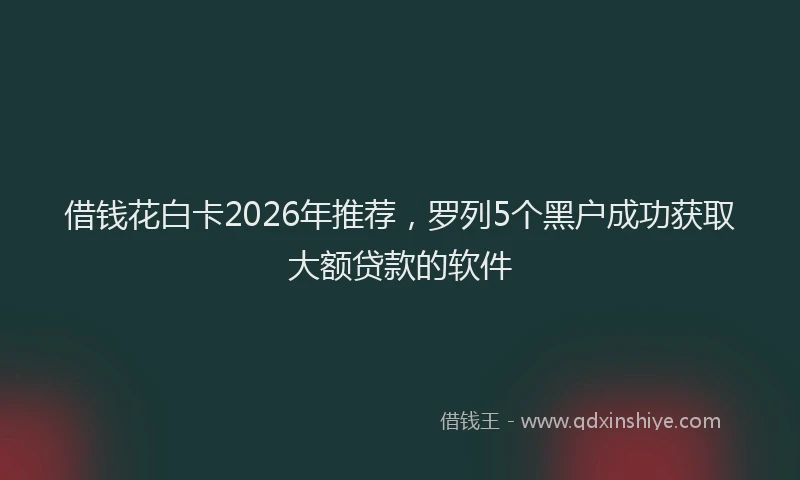 借钱花白卡2026年推荐，罗列5个黑户成功获取大额贷款的软件