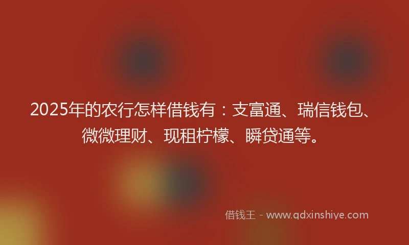 2025年的农行怎样借钱有：支富通、瑞信钱包、微微理财、现租柠檬、瞬贷通等。