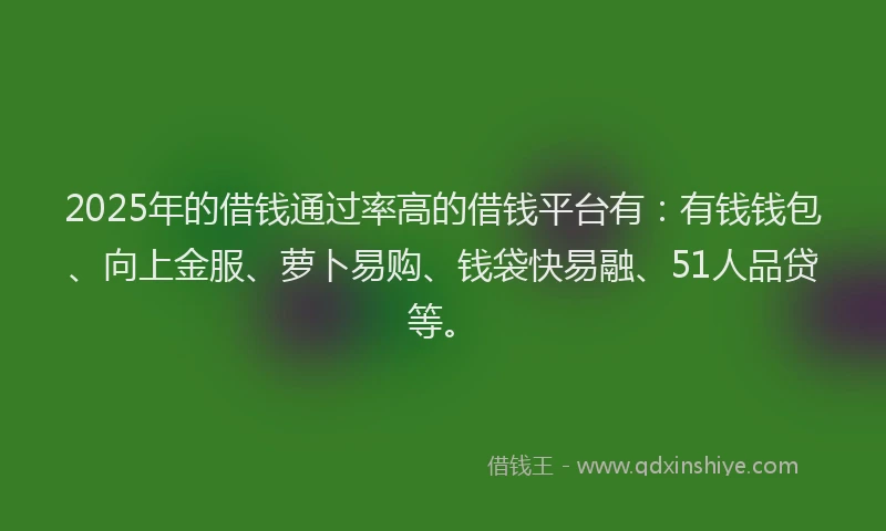 2025年的借钱通过率高的借钱平台有：有钱钱包、向上金服、萝卜易购、钱袋快易融、51人品贷等。