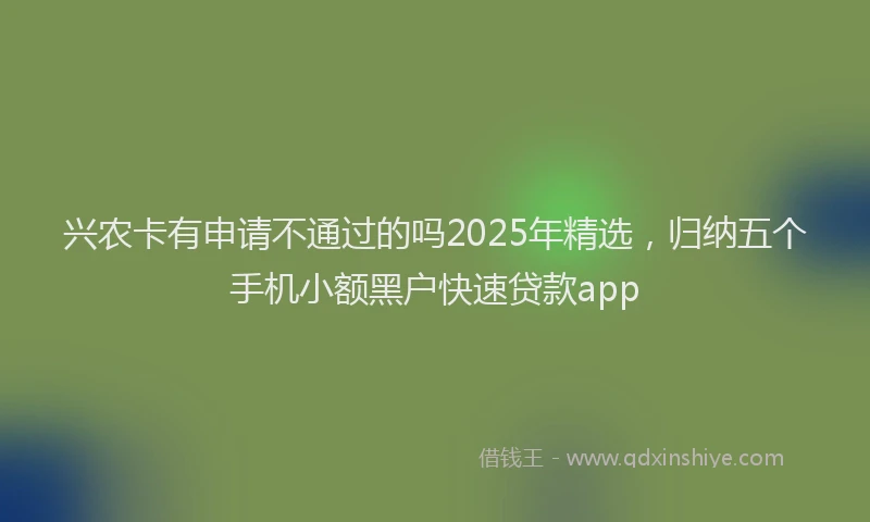 兴农卡有申请不通过的吗2025年精选，归纳五个手机小额黑户快速贷款app