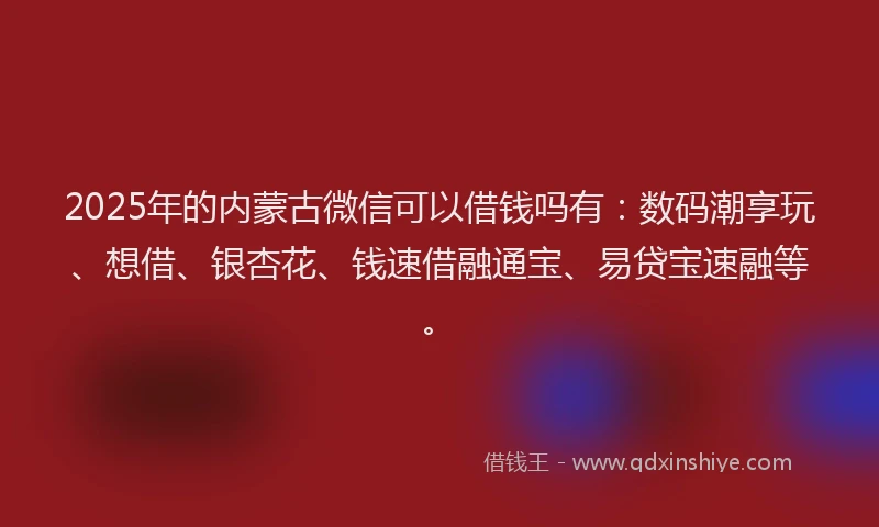 2025年的内蒙古微信可以借钱吗有：数码潮享玩、想借、银杏花、钱速借融通宝、易贷宝速融等。
