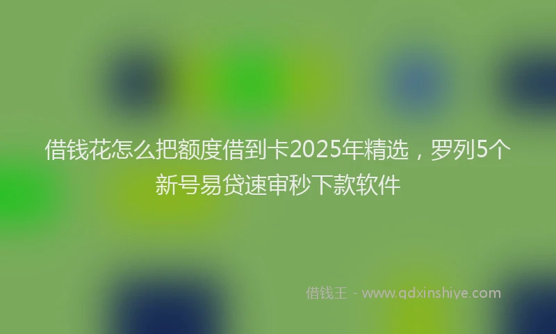 借钱花怎么把额度借到卡2025年精选，罗列5个新号易贷速审秒下款软件