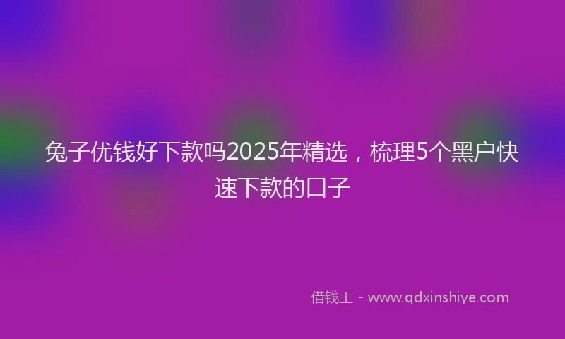 兔子优钱好下款吗2025年精选,梳理5个黑户快速下款的口子