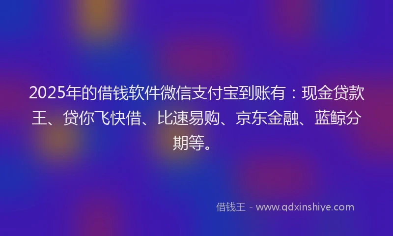 2025年的借钱软件微信支付宝到账有：现金贷款王、贷你飞快借、比速易购、京东金融、蓝鲸分期等。