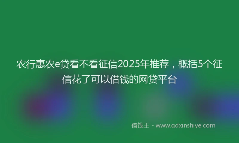 农行惠农e贷看不看征信2025年推荐，概括5个征信花了可以借钱的网贷平台