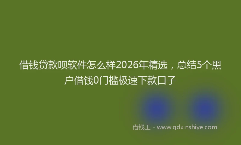 借钱贷款呗软件怎么样2026年精选，总结5个黑户借钱0门槛极速下款口子