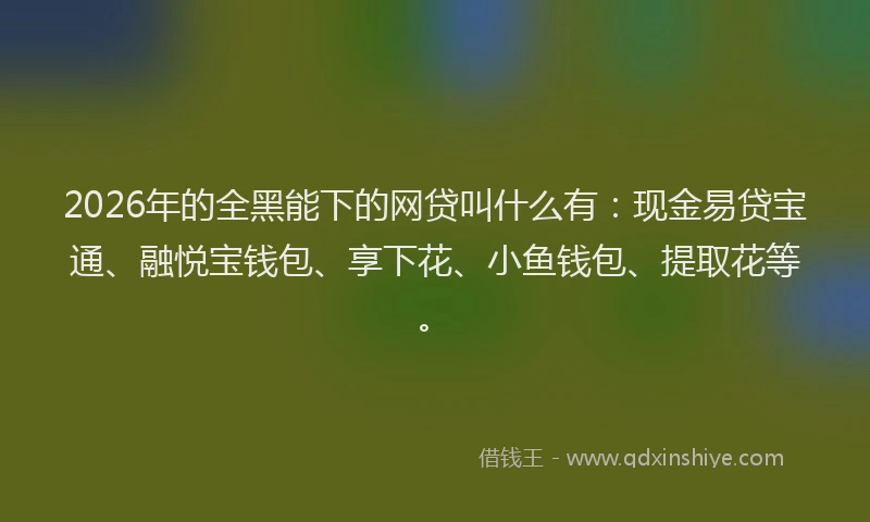 2026年的全黑能下的网贷叫什么有：现金易贷宝通、融悦宝钱包、享下花、小鱼钱包、提取花等。
