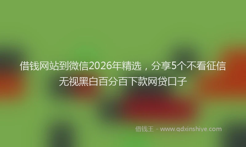 借钱网站到微信2026年精选，分享5个不看征信无视黑白百分百下款网贷口子