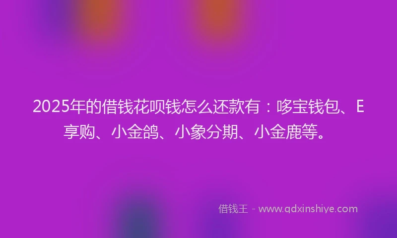 2025年的借钱花呗钱怎么还款有：哆宝钱包、E享购、小金鸽、小象分期、小金鹿等。