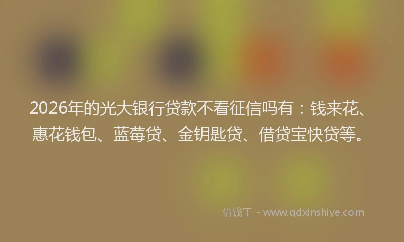 2026年的光大银行贷款不看征信吗有：钱来花、惠花钱包、蓝莓贷、金钥匙贷、借贷宝快贷等。