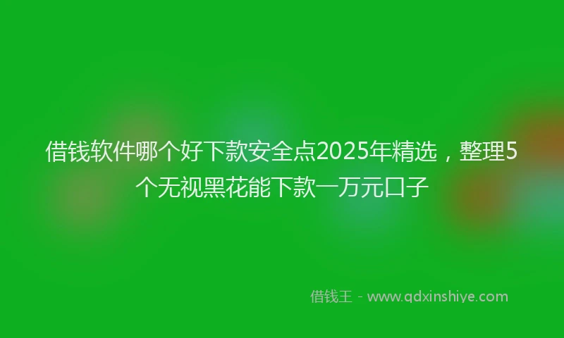 借钱软件哪个好下款安全点2025年精选，整理5个无视黑花能下款一万元口子