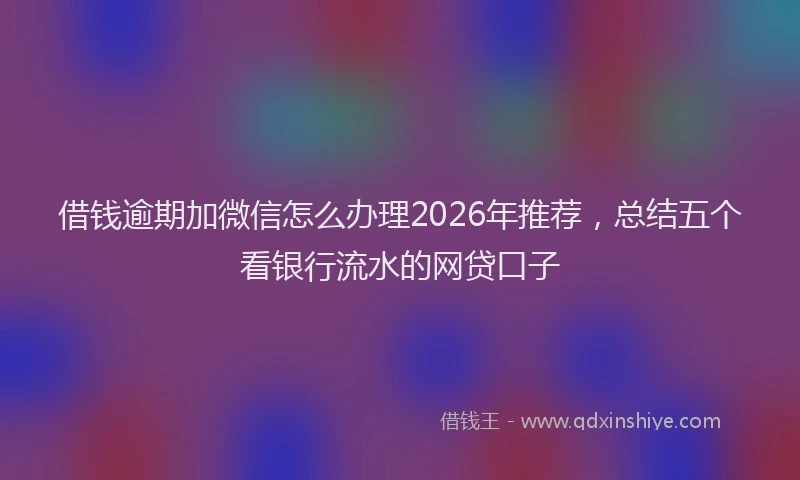 借钱逾期加微信怎么办理2026年推荐，总结五个看银行流水的网贷口子