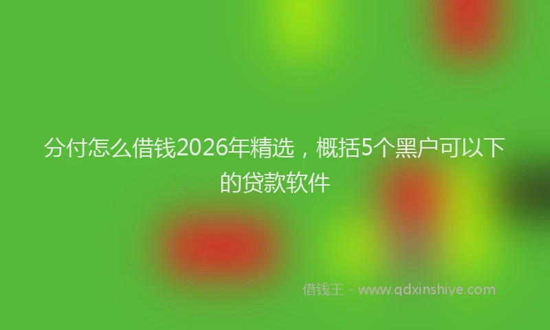 分付怎么借钱2026年精选，概括5个黑户可以下的贷款软件