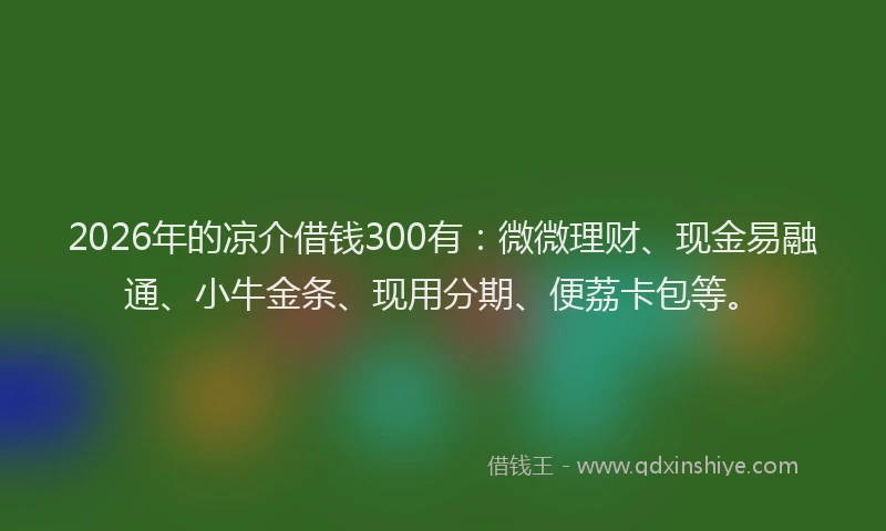 2026年的凉介借钱300有：微微理财、现金易融通、小牛金条、现用分期、便荔卡包等。