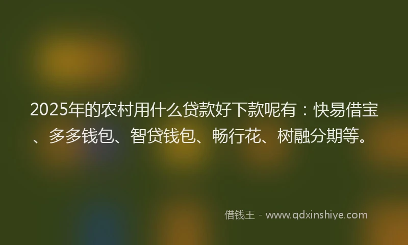 2025年的农村用什么贷款好下款呢有：快易借宝、多多钱包、智贷钱包、畅行花、树融分期等。