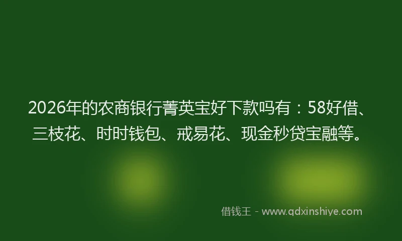 2026年的农商银行菁英宝好下款吗有:58好借、三枝花、时时钱包、戒易花、现金秒贷宝融等。