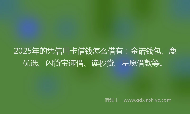 2025年的凭信用卡借钱怎么借有：金诺钱包、鹿优选、闪贷宝速借、读秒贷、星愿借款等。
