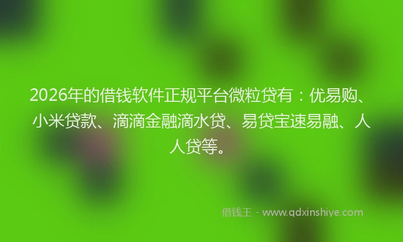 2026年的借钱软件正规平台微粒贷有：优易购、小米贷款、滴滴金融滴水贷、易贷宝速易融、人人贷等。
