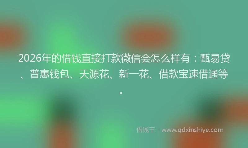 2026年的借钱直接打款微信会怎么样有：甄易贷、普惠钱包、天源花、新一花、借款宝速借通等。