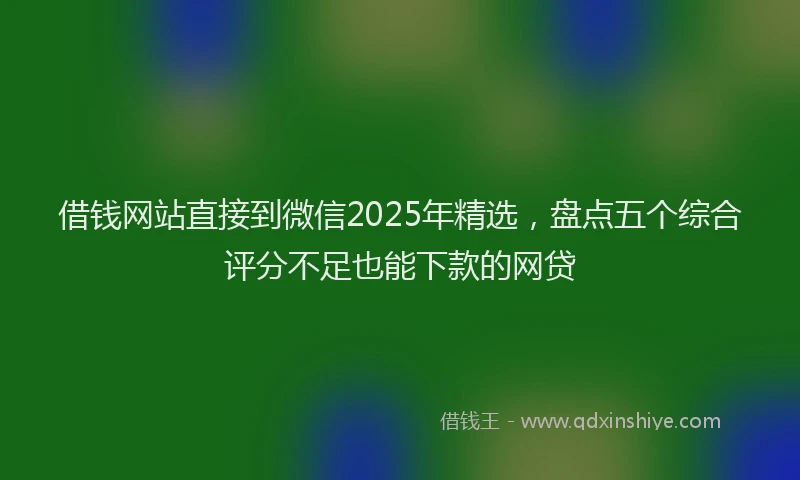 借钱网站直接到微信2025年精选，盘点五个综合评分不足也能下款的网贷