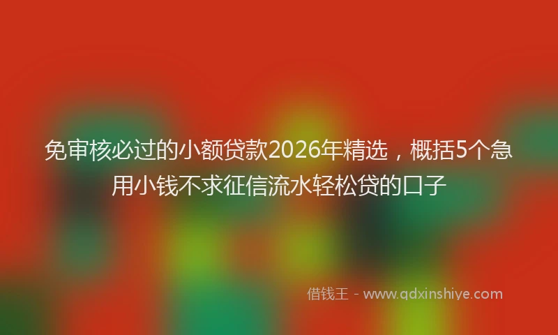 免审核必过的小额贷款2026年精选，概括5个急用小钱不求征信流水轻松贷的口子