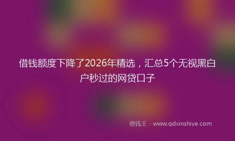 借钱额度下降了2026年精选,汇总5个无视黑白户秒过的网贷口子