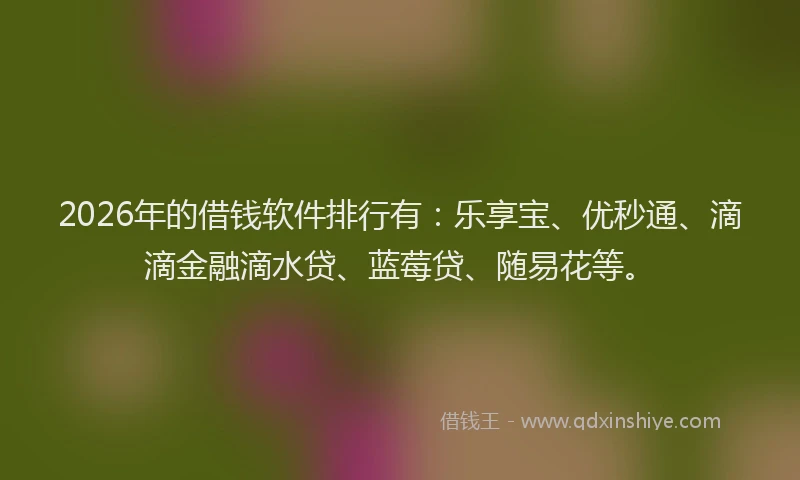 2026年的借钱软件排行有：乐享宝、优秒通、滴滴金融滴水贷、蓝莓贷、随易花等。