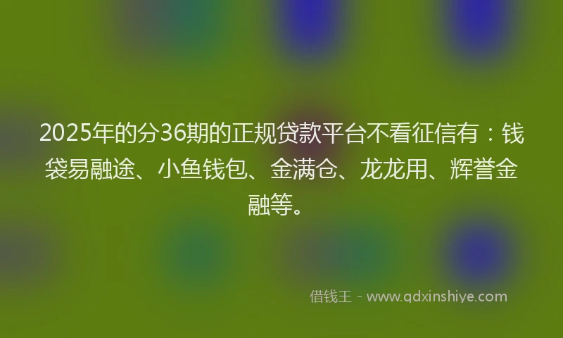 2025年的分36期的正规贷款平台不看征信有：钱袋易融途、小鱼钱包、金满仓、龙龙用、辉誉金融等。