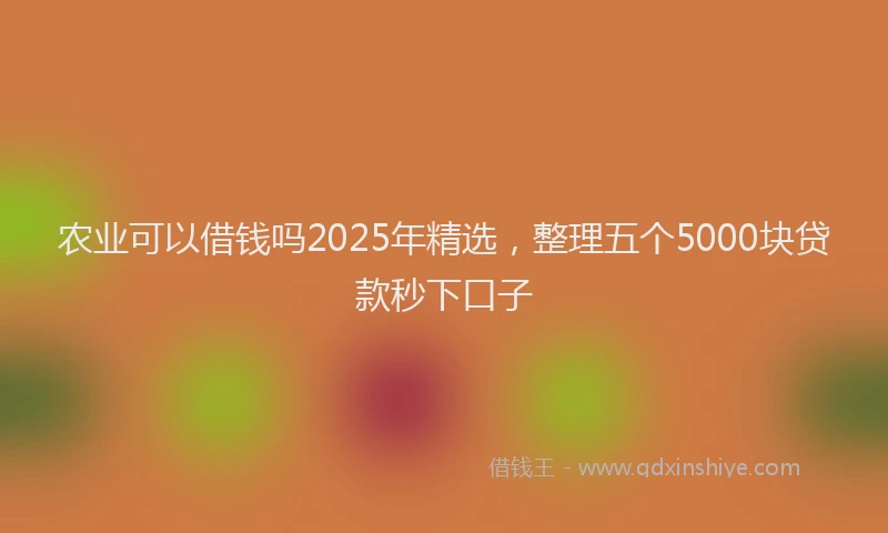 农业可以借钱吗2025年精选，整理五个5000块贷款秒下口子