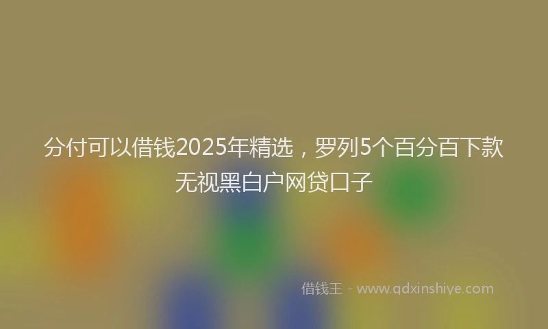 分付可以借钱2025年精选,罗列5个百分百下款无视黑白户网贷口子