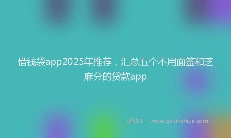 借钱袋app2025年推荐，汇总五个不用面签和芝麻分的贷款app