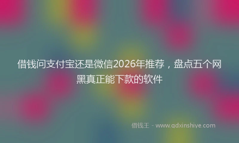 借钱问支付宝还是微信2026年推荐，盘点五个网黑真正能下款的软件
